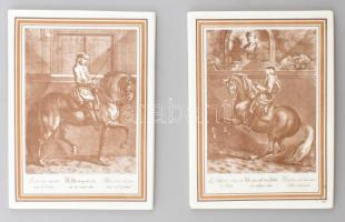 2 db Tettau porcelán fali dísz kép. matricás, jelzett, hibátlan 20x25 cm