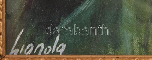 Nagy méretű dekoratív keret minimális sérüléssel 53x43 cm