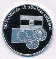 DN A magyar pénz krónikája - Csatlakozás az Európai Unióhoz Ag emlékérem tanúsítvánnyal (20g/0.999/38,61mm) T:PP