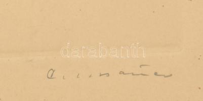 Olvashatatlan jelzéssel: Liszt Ferenc. Rézkarc, papr. Üvegezett, kopott fakeretben, 20x17 cm