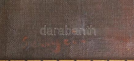 Olvashatatlan jelzéssel: Női akt . Olaj, vászon, sérült. Sérült keretben, 50x40 cm