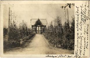 1905 Budapest XVI. Mátyásföld, Diósy villa. photo (EK)