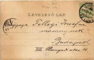 1905 Budapest XVI. Mátyásföld, Diósy villa. photo (EK)