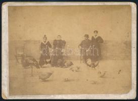 cca 1890 Baromfiudvar különböző madarakkal, családdal, keményhátú fotó sérülésekkel, 13×18 cm