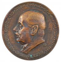 Madarassy Walter (1909-1994) 1972. Richter Gedeon - Magyar Gyógyszerészeti Társaság kétoldalas, öntött bronz emlékérem (87mm) T:1- kis patina