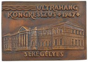 1987. Ultrahang Kongresszus 1987 - Seregélyes egyoldalas, öntött bronz plakett (90x130mm) T:1-