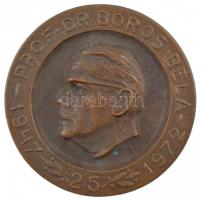 Nowotarski István (1909-) 1972. Prof. Dr. Boros Béla 1947-1972 25 egyoldalas, öntött bronz emlékérem (100mm) T:1- CS 70.