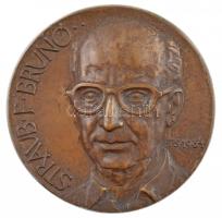 Tóth Sándor (1933-2019) 1984. Straub Brunó / MTA Szegedi Biológiai Központ kétoldalas, öntött bronz plakett (129mm) T:1-
