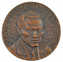 Kalmár Márton (1946-) DN Prof. Cserháti István 1930-1986 egyoldalas, öntött bronz emlékplakett (116mm) T:1-