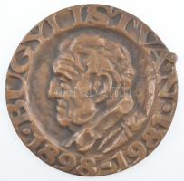 DN Bugyi István 1898-1981 egyoldalas, öntött bronz plakett (~134-138mm) T:1-