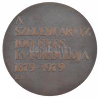 Lapis András (1942-) 1979. "A szegedi árvíz száz éves évfordulója 1879 - 1979" egyoldalas,...