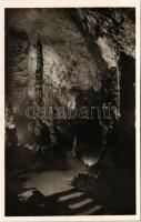 Aggteleki cseppkőbarlang, Tilalomfa a paradicsomban, belső. Kessler Hubert dr. felvétele