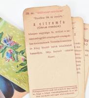 Stühmer litho gyűjtőkártyák, növények, gombák. kb 50db