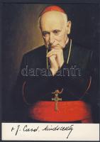 1991 Mindszenty József fotó képeslap hamvai hazatérésének emlékbélyegzőjével