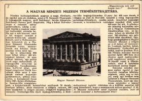 Budapest VIII. Magyar Nemzeti Múzeum Természetrajztára. Monostory felvétele, Farkasfalvi Kornél kiadása