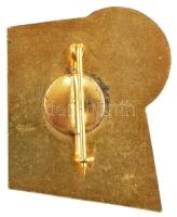 ~1970-1980. "60 év - Gyémántdiplomás pedagógus" zománcozott, aranyozott fém jelvény T:1-