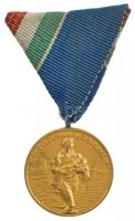 1954. 1954. évi Dunai Árvízvédelemért aranyozott Br kitüntetés mellszalagon T:1-,2
