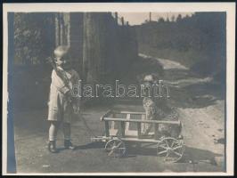 1925 Vilmos kisfiú és játszópajtása, a Bogár-kutya, hátoldalán feliratozott és datált vintage fotó, 9x12 cm