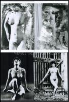 cca 1985 előtt készült, szolidan erotikus felvételek, 4 db mai nagyítás, 14x10 cm és 15x10 cm