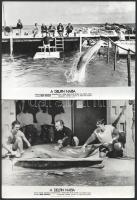 1973 ,,A delfin napja című amerikai tudományos-fantasztikus film jelenetei és szereplői (köztük George C. Scott, Trish Van Devere), 13 db vintage produkciós filmfotó, ezüst zselatinos fotópapíron, kisebb hibákkal, 18x24 cm
