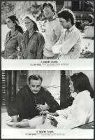 1973 ,,A delfin napja" című amerikai tudományos-fantasztikus film jelenetei és szereplői (köztü...