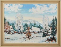 Ismeretlen lengyel festő 1985: Téli táj. Olaj, farost, jelzett, keretezett. 59x79cm