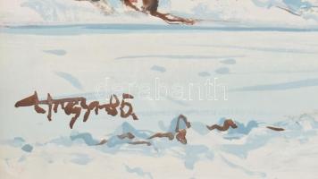 Ismeretlen lengyel festő 1985: Téli táj. Olaj, farost, jelzett, keretezett. 59x79cm
