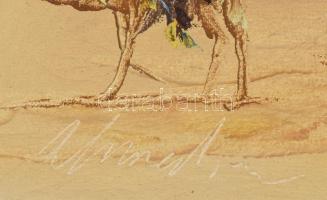 Olvashatatlan jelzéssel: Oázis. Olaj, vászon, szép keretben. 30x60 cm