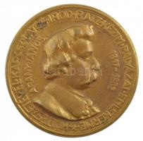 1933. Ifjú Polgárok Lapja - Arany János halálának 50. évfordulója emlékére kétoldalas, öntött, aranyozott bronz érem (72mm) T:2-
