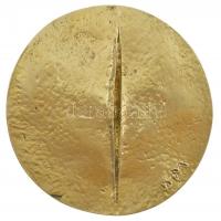 Borsos Miklós (1906-1990) Dr. Verebély Tibort ábrázoló emlékérmének utánöntött másolata (85mm) T:1-