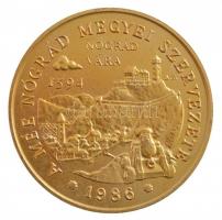 Bognár György (1944-) 1986. MÉE Nógrád megye - "Báró Pálffy Miklós főkapitány" aranyoztott...