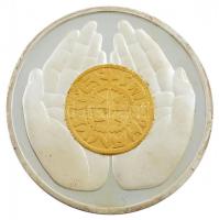 1986. "Az Állami Pénzverőben tett látogatás emlékére" ÁPV látogatói emlékérem (42,5mm) T:1...