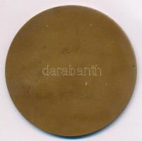 Renner Kálmán (1927-1994) 1977. "Sopron 1277-1977" kétoldalas bronz emlékérem, műanyag &qu...