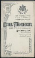 cca 1910 Női portré, keményhátú fotó Emil fischer nagyszebeni műterméből, szecessziós hátlappal, 10,...