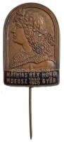 1940. Mathias Rex Hung. MDEOSZ (Magyar Dalegyletek Országos Szövetsége) 1440-1940 Győr zománcozott bronz jelvény (34x23mm) T:2 javított tű, hátlapon patina