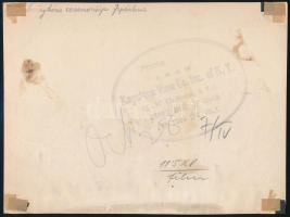 cca 1930 Lánykérés ceremóniája Japánban, hátoldalon feliratozott fotó, 15×20 cm