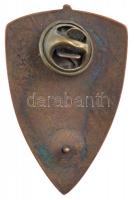 DN "1941 1945", az Országos Frontharcos Szövetség modern Br fantázia / replika emlékjelvén...