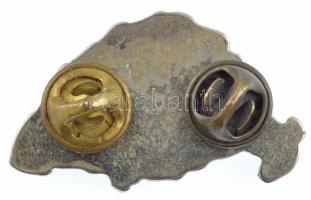 DN Nagy-Magyarországot ábrázoló modern, műgyantás fém jelvény, hátoldalán két tűvel T:2