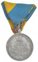 1941. "Délvidéki Emlékérem" Al emlékérem mellszalaggal. Szign.: BERÁN L. T:2- ph. Hungary ...