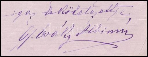 1906 gróf Csáky Albinné Bolza Anna (1847-?), gróf Csáky Albin (1841-1912), vallás- és közoktatásügyi...