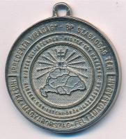 DN "Irredenta virágágy - Bp. Szabadság tér" modern fém replika irredenta medál (38mm) T:2