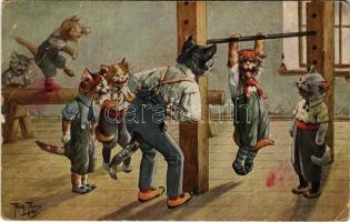 1918 Macska tornaóra / Cat gym class. T.S.N. Serie 1423. s: Arthur Thiele (EB)