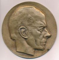 DN Bartók Béla jobbra néző portréja egyoldalas, öntött bronz plaketten (99mm) T:1-