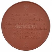 NDK ~1970. "Berlini Humboldt Egyetem" kétoldalas kerámia emlékplakett, hátoldalán a Meisse...