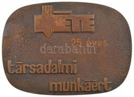 ~1970. "MÉTE - 25 éves társadalmi munkáért" egyoldalas Br érdemplakett hátoldalán gravírozással, eredeti tokban (112x80mm) T:1-