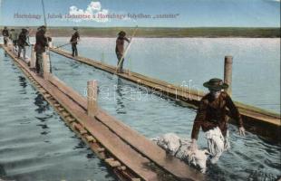 Hortobágy juhok fürösztése