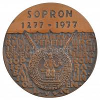 Renner Kálmán (1927-1994) 1977. "Sopron 1277-1977" egyoldalas Br plakett (92mm) T:1-