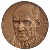 DN Nagy Lajos 1883-1954 egyoldalas, öntött bronz emlékérem, eredeti dísztokban (106mm) T:1-
