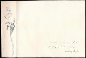 Szalay Lajos (1909-1995) Kossuth-díjas grafikus autográf aláírása és sorai, grafikájával illusztrált...