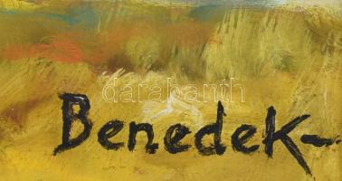 Benedek jelzéssel: Vízpart. Olaj, farost. Dekoratív fakeretben, 49,5×84,5 cm